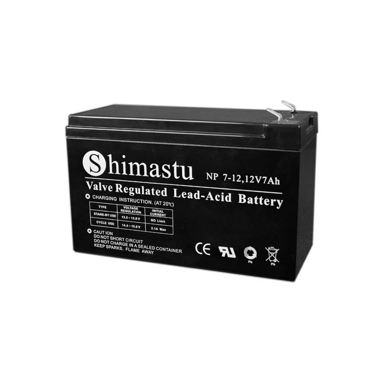 অ্যালার্ম সিস্টেমের জন্য 12V7Ah ব্যাটারি