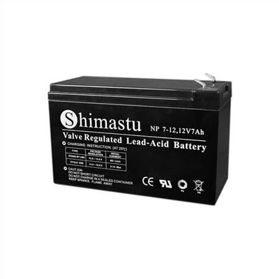 অ্যালার্ম সিস্টেমের জন্য 12V7Ah ব্যাটারি