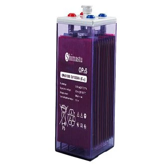 OPzS 1000 টিউবুলার ব্যাটারি